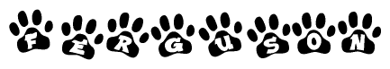 The image shows a row of animal paw prints, each containing a letter. The letters spell out the word Ferguson within the paw prints.