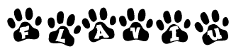 The image shows a series of animal paw prints arranged in a horizontal line. Each paw print contains a letter, and together they spell out the word Flaviu.