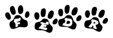 The image shows a row of animal paw prints, each containing a letter. The letters spell out the word Fedr within the paw prints.