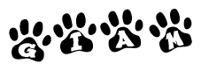 The image shows a series of animal paw prints arranged in a horizontal line. Each paw print contains a letter, and together they spell out the word Giam.