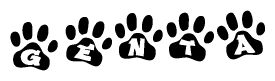 The image shows a row of animal paw prints, each containing a letter. The letters spell out the word Genta within the paw prints.