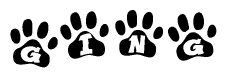 The image shows a series of animal paw prints arranged horizontally. Within each paw print, there's a letter; together they spell Ging