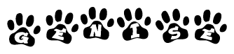 The image shows a series of animal paw prints arranged in a horizontal line. Each paw print contains a letter, and together they spell out the word Genise.