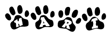 The image shows a row of animal paw prints, each containing a letter. The letters spell out the word Hari within the paw prints.