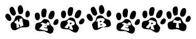 The image shows a series of animal paw prints arranged in a horizontal line. Each paw print contains a letter, and together they spell out the word Herbert.
