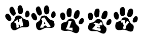 The image shows a row of animal paw prints, each containing a letter. The letters spell out the word Haley within the paw prints.