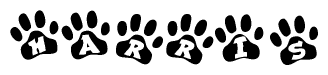 The image shows a row of animal paw prints, each containing a letter. The letters spell out the word Harris within the paw prints.