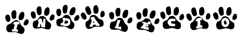 The image shows a row of animal paw prints, each containing a letter. The letters spell out the word Indalecio within the paw prints.