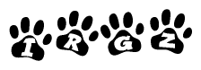 The image shows a series of animal paw prints arranged horizontally. Within each paw print, there's a letter; together they spell Irgz