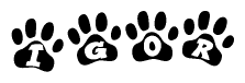 The image shows a series of animal paw prints arranged horizontally. Within each paw print, there's a letter; together they spell Igor