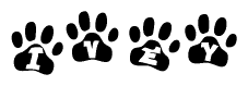 The image shows a series of animal paw prints arranged horizontally. Within each paw print, there's a letter; together they spell Ivey