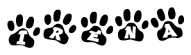 The image shows a series of animal paw prints arranged horizontally. Within each paw print, there's a letter; together they spell Irena