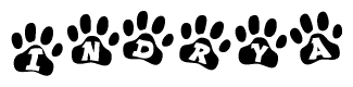 The image shows a series of animal paw prints arranged horizontally. Within each paw print, there's a letter; together they spell Indrya