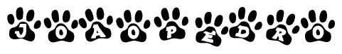 The image shows a series of animal paw prints arranged in a horizontal line. Each paw print contains a letter, and together they spell out the word Joaopedro.