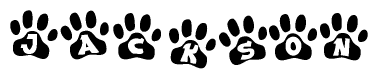 The image shows a series of animal paw prints arranged horizontally. Within each paw print, there's a letter; together they spell Jackson