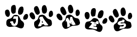 The image shows a series of animal paw prints arranged in a horizontal line. Each paw print contains a letter, and together they spell out the word James.