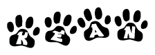 The image shows a series of animal paw prints arranged in a horizontal line. Each paw print contains a letter, and together they spell out the word Kean.