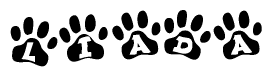 The image shows a row of animal paw prints, each containing a letter. The letters spell out the word Liada within the paw prints.