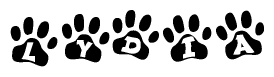 The image shows a series of animal paw prints arranged in a horizontal line. Each paw print contains a letter, and together they spell out the word Lydia.