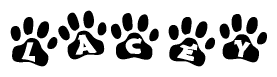 The image shows a series of animal paw prints arranged in a horizontal line. Each paw print contains a letter, and together they spell out the word Lacey.