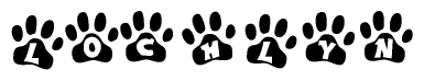 The image shows a row of animal paw prints, each containing a letter. The letters spell out the word Lochlyn within the paw prints.