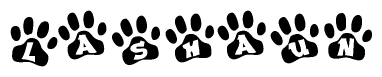 The image shows a series of animal paw prints arranged horizontally. Within each paw print, there's a letter; together they spell Lashaun