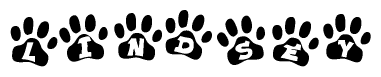 The image shows a series of animal paw prints arranged in a horizontal line. Each paw print contains a letter, and together they spell out the word Lindsey.