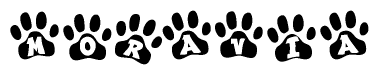 The image shows a series of animal paw prints arranged horizontally. Within each paw print, there's a letter; together they spell Moravia