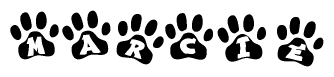 The image shows a series of animal paw prints arranged horizontally. Within each paw print, there's a letter; together they spell Marcie