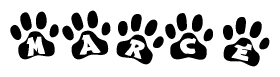 The image shows a series of animal paw prints arranged horizontally. Within each paw print, there's a letter; together they spell Marce