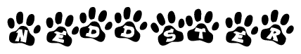 The image shows a series of animal paw prints arranged horizontally. Within each paw print, there's a letter; together they spell Neddster