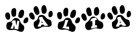 The image shows a series of animal paw prints arranged horizontally. Within each paw print, there's a letter; together they spell Nalia
