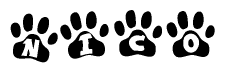 The image shows a series of animal paw prints arranged horizontally. Within each paw print, there's a letter; together they spell Nico