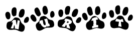 The image shows a series of animal paw prints arranged in a horizontal line. Each paw print contains a letter, and together they spell out the word Nurit.