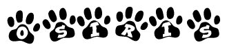 The image shows a series of animal paw prints arranged in a horizontal line. Each paw print contains a letter, and together they spell out the word Osiris.