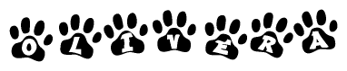 The image shows a row of animal paw prints, each containing a letter. The letters spell out the word Olivera within the paw prints.