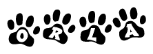 The image shows a series of animal paw prints arranged horizontally. Within each paw print, there's a letter; together they spell Orla