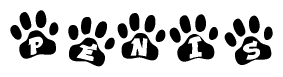 The image shows a series of animal paw prints arranged horizontally. Within each paw print, there's a letter; together they spell Penis