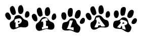 The image shows a row of animal paw prints, each containing a letter. The letters spell out the word Pilar within the paw prints.