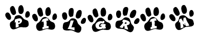 The image shows a row of animal paw prints, each containing a letter. The letters spell out the word Pilgrim within the paw prints.