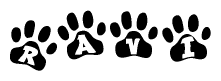 The image shows a series of animal paw prints arranged in a horizontal line. Each paw print contains a letter, and together they spell out the word Ravi.