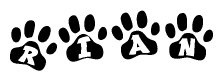 The image shows a series of animal paw prints arranged horizontally. Within each paw print, there's a letter; together they spell Rian