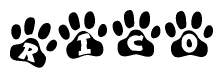 The image shows a row of animal paw prints, each containing a letter. The letters spell out the word Rico within the paw prints.