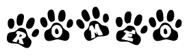 The image shows a row of animal paw prints, each containing a letter. The letters spell out the word Romeo within the paw prints.