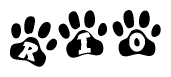 The image shows a row of animal paw prints, each containing a letter. The letters spell out the word Rio within the paw prints.