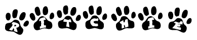 The image shows a series of animal paw prints arranged horizontally. Within each paw print, there's a letter; together they spell Ritchie