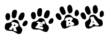 The image shows a series of animal paw prints arranged horizontally. Within each paw print, there's a letter; together they spell Reba