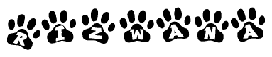 The image shows a row of animal paw prints, each containing a letter. The letters spell out the word Rizwana within the paw prints.