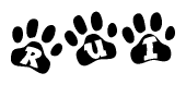 The image shows a series of animal paw prints arranged in a horizontal line. Each paw print contains a letter, and together they spell out the word Rui.