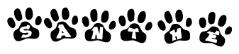 The image shows a series of animal paw prints arranged horizontally. Within each paw print, there's a letter; together they spell Santhe